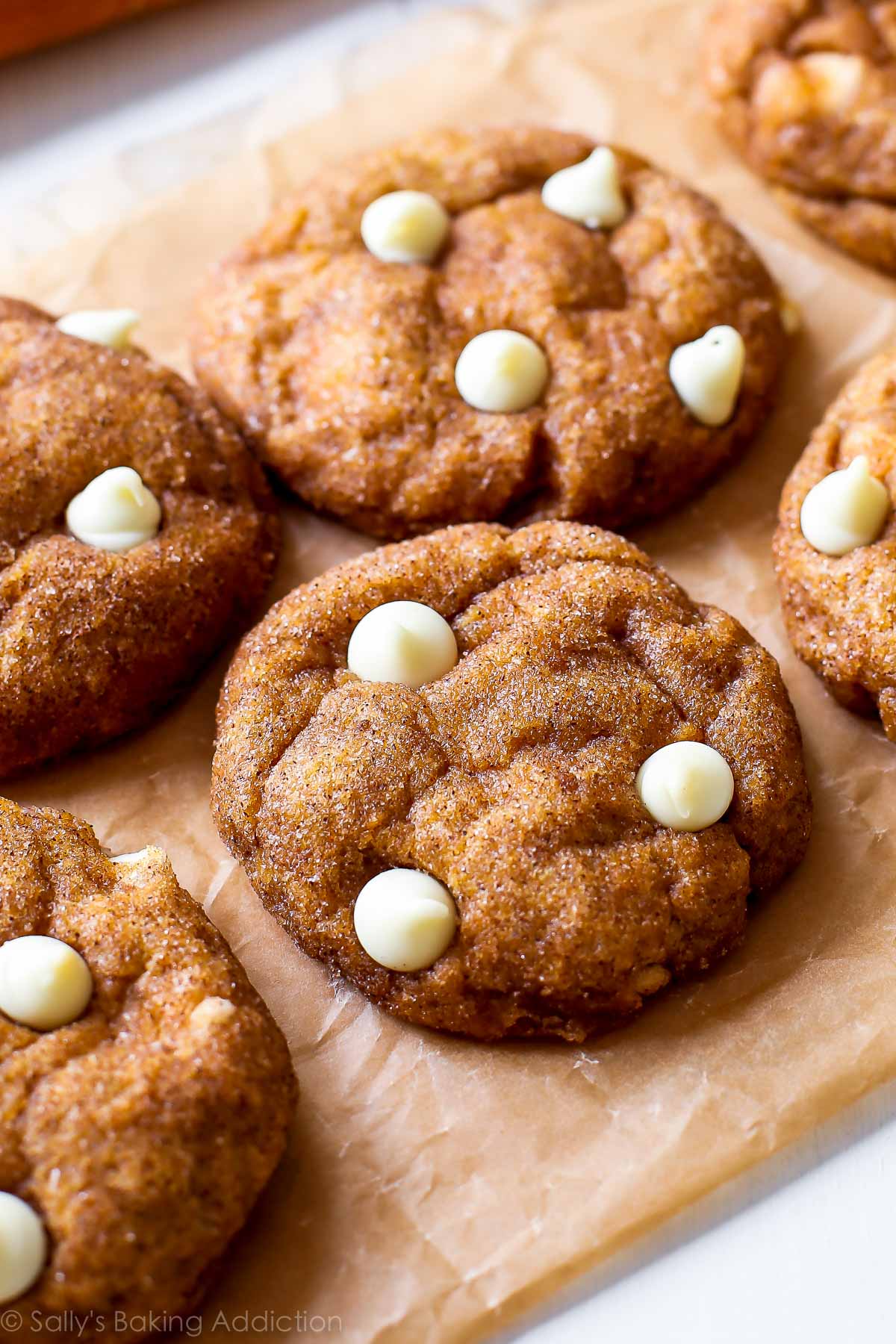 pumpkin snickerdoodles - Article 2